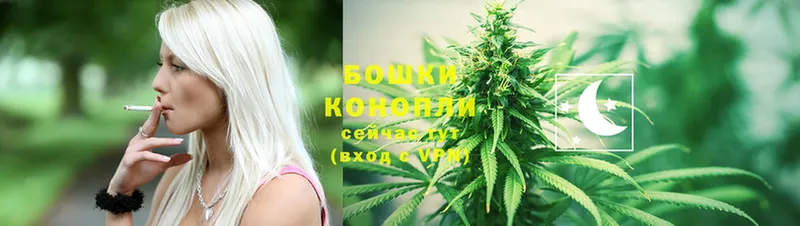 Конопля White Widow  купить наркоту  Арамиль 